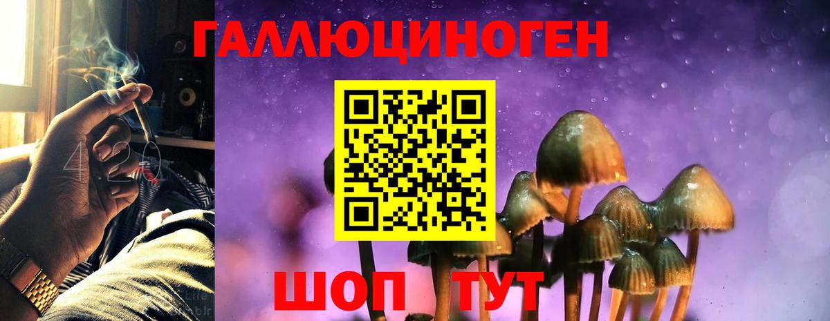 Псилоцибиновые грибы MAGIC MUSHROOMS  Вход с VPN  даркнет сайт  Гагарин  Галлюциногенные грибы мухоморы 